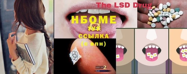 ПСИЛОЦИБИНОВЫЕ ГРИБЫ Арсеньев
