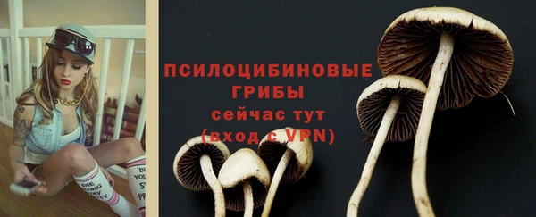 ПСИЛОЦИБИНОВЫЕ ГРИБЫ Арсеньев