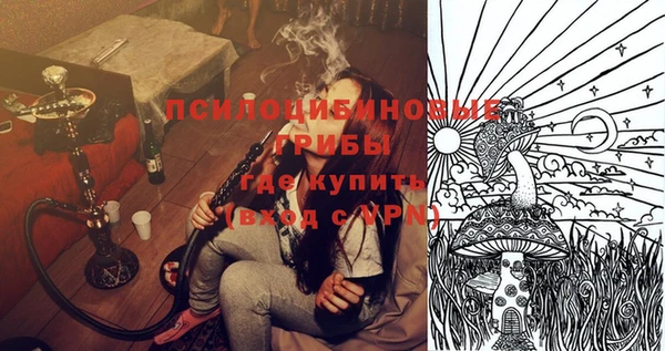 ПСИЛОЦИБИНОВЫЕ ГРИБЫ Арсеньев
