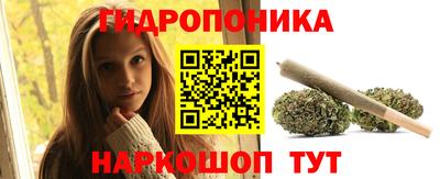 PSILOCYBIN Нальчик