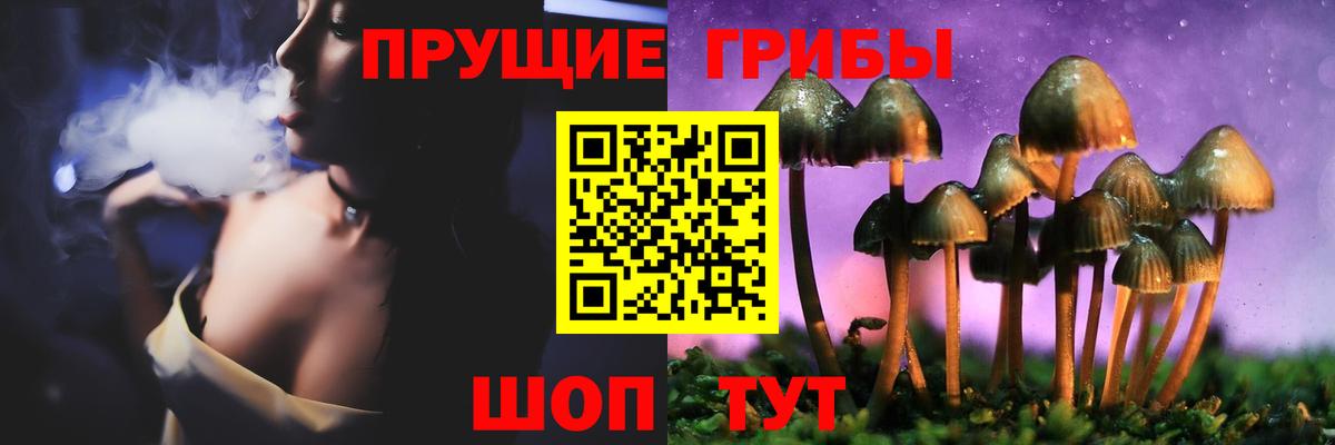 Черкесск  Галлюциногенные грибы GOLDEN TEACHER  Вход с VPN 